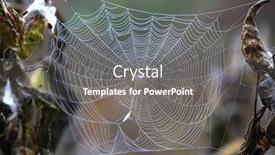  Presentation with autumn morning - Slide deck enhanced with nice wet web in morning dew at autumn time background and a gray colored foreground