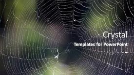  Presentation with forest morning - Amazing slides having nice wet web in morning forest backdrop and a dark gray colored foreground