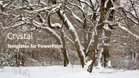  Presentation with winter scene - Beautiful PPT theme featuring nice winter scene in forest in snow backdrop and a gray colored foreground