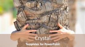  Presentation with palm tree - Audience pleasing slides consisting of nice-woman-hands-holding backdrop and a coral colored foreground