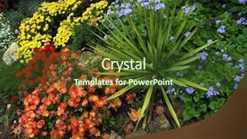  Presentation with beautiful floral border flower design - Cool new slides with nicely designed autumn flower-bed backdrop and a tawny brown colored foreground