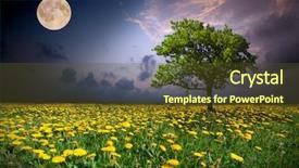  Presentation with moon - Presentation design featuring night and the moon background and a tawny brown colored foreground