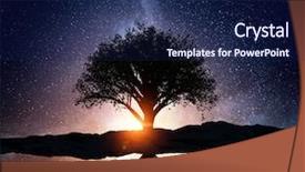  Presentation with starry night - PPT theme with night and tree mixed media background and a navy blue colored foreground