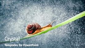  Presentation with water pump centrifugal - Beautiful slide set featuring night backgroundslides - snail with water particles bokeh backdrop and a seafoam green colored foreground