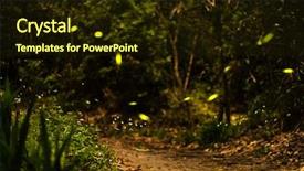  Presentation with taiwan - Beautiful presentation design featuring night fireflies - firefly flying in the forest backdrop and a wine colored foreground