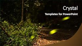  Presentation with taiwan - Presentation featuring night fireflies - firefly flying in the forest background and a black colored foreground