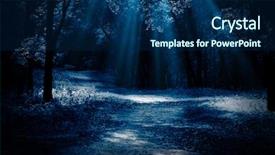  Presentation with winter forest night - Colorful slide deck enhanced with night forest with moonlight beams backdrop and a navy blue colored foreground