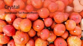  Presentation with orange - Cool new presentation design with night invitation - set of orange pumpkins background backdrop and a red colored foreground