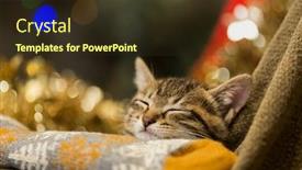  Presentation with kitten - Cool new PPT layouts with night-kitten-sleeping backdrop and a tawny brown colored foreground