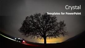  Presentation with lonely - Presentation consisting of night-landscape-with-lonely-tree background and a dark gray colored foreground