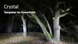  Presentation with oak forest - Slide deck featuring night-landscape-with-old-oak background and a black colored foreground