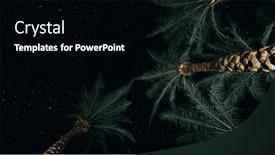  Presentation with stars moon - 