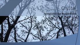  Presentation with winter forest night - Amazing presentation having night-time-silhouette-of-thousands backdrop and a teal colored foreground