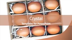  Presentation with box - Beautiful PPT layouts featuring nine eggs in box path backdrop and a coral colored foreground