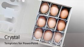 Presentation with reuse craft die cut eco - PPT theme with nine eggs in the box background and a  colored foreground
