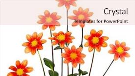  Presentation with depletion layer - Beautiful PPT layouts featuring nine orange single layer petal backdrop and a  colored foreground