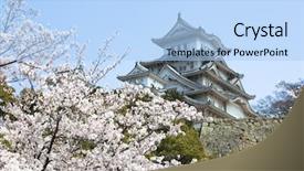  Presentation with japan cherry blossom - Cool new slide deck with ninja world - himeji castle during cherry blossom backdrop and a light blue colored foreground