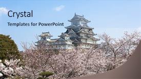  Presentation with cherry blossom - Beautiful PPT theme featuring ninja world - himeji castle during cherry blossom backdrop and a light blue colored foreground