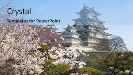  Presentation with cherry blossom - Slide set with cfd is written by businessman background and a gray colored foreground.