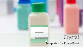  Presentation with bacteria - PPT theme having nitrosomonas-bacteria-a-bacteria-used background and a  colored foreground