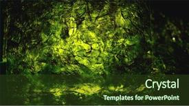  Presentation with seaweed - PPT theme with nkri - dried nori seaweed laminaria sheet background and a tawny brown colored foreground