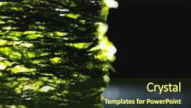  Presentation with seaweed - Theme with nkri - dried nori seaweed laminaria sheets background and a  colored foreground