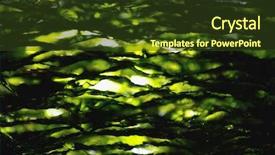  Presentation with seaweed - PPT layouts featuring nkri - dried nori seaweed laminaria sheets background and a tawny brown colored foreground