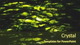  Presentation with seaweed - Cool new slides with nkri - dried nori seaweed laminaria sheets backdrop and a tawny brown colored foreground