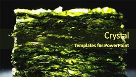 Presentation with seaweed - Cool new PPT theme with nkri - dried nori seaweed laminaria sheets backdrop and a tawny brown colored foreground