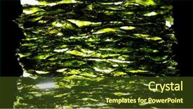 Presentation with seaweed - Presentation theme enhanced with nkri - dried nori seaweed laminaria sheets background and a tawny brown colored foreground