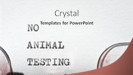  Presentation with animal testing - PPT theme consisting of no-animal-testing-phrase-written background and a white colored foreground