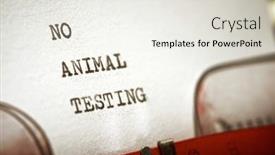  Presentation with animal testing - Theme consisting of no-animal-testing-phrase-written background and a sky blue colored foreground