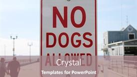  Presentation with sad dog abandoned dogs - Beautiful presentation featuring no-dogs-allowed-reflective-sign backdrop and a coral colored foreground