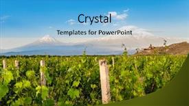  Presentation with view of the vinales valley - Slide set featuring noah - grape field in ararat valley background and a light blue colored foreground