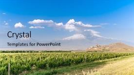  Presentation with grape - Slide deck featuring noah - grape field in ararat valley background and a light blue colored foreground