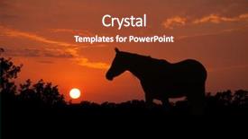  Presentation with rich - PPT theme consisting of noble arabian horse silhouette background and a tawny brown colored foreground