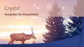  Presentation with lights through forest - Colorful PPT theme enhanced with noble-deer-male-in-magic backdrop and a lemonade colored foreground