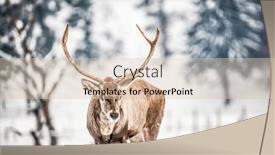  Presentation with snow blizzard in winter - Slide deck having noble-deer-male-in-winter background and a lemonade colored foreground