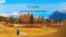  Presentation with abraham - Presentation theme consisting of noble-deer-with-branched-horns background and a light blue colored foreground