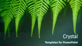  Presentation with green lines - Audience pleasing slides consisting of nod - lines of green fern nodding backdrop and a  colored foreground