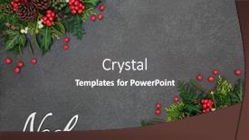 Presentation with noel - Presentation theme having noel background border with silver sign and winter flora of holly with loose berries mistletoe ivy cedar leaves and pine cones on grunge grey background with copy space background and a gray colored foreground