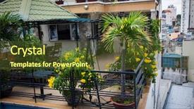 Presentation with noise - PPT theme enhanced with noise polution - rooftop terrace with tropical plants background and a tawny brown colored foreground