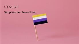  Presentation with non binary - PPT theme having non-binary-pride-flag-attached background and a coral colored foreground