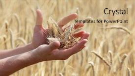  Presentation with blur - Colorful slide set enhanced with automobile - red car with the silhouette backdrop and a gray colored foreground.