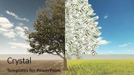  Presentation with non profit - PPT theme having non profit - field and money tree where background and a coral colored foreground