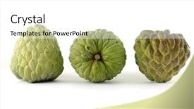  Presentation with apple - Presentation having noni plant - 3 custard apple on white background and a white colored foreground