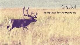  Presentation with norway hydroelectric - Amazing presentation theme having nordic nature - reindeer in norway backdrop and a  colored foreground