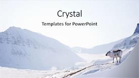  Presentation with norway - Theme enhanced with nordic nature - wild raindeer against a desolate background and a sky blue colored foreground