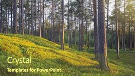  Presentation with pine forest - Beautiful PPT layouts featuring nordic pine forest in evening backdrop and a tawny brown colored foreground