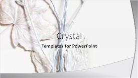  Presentation with leaves flat lay - Slides enhanced with nordic-style-composition-with-dry background and a white colored foreground